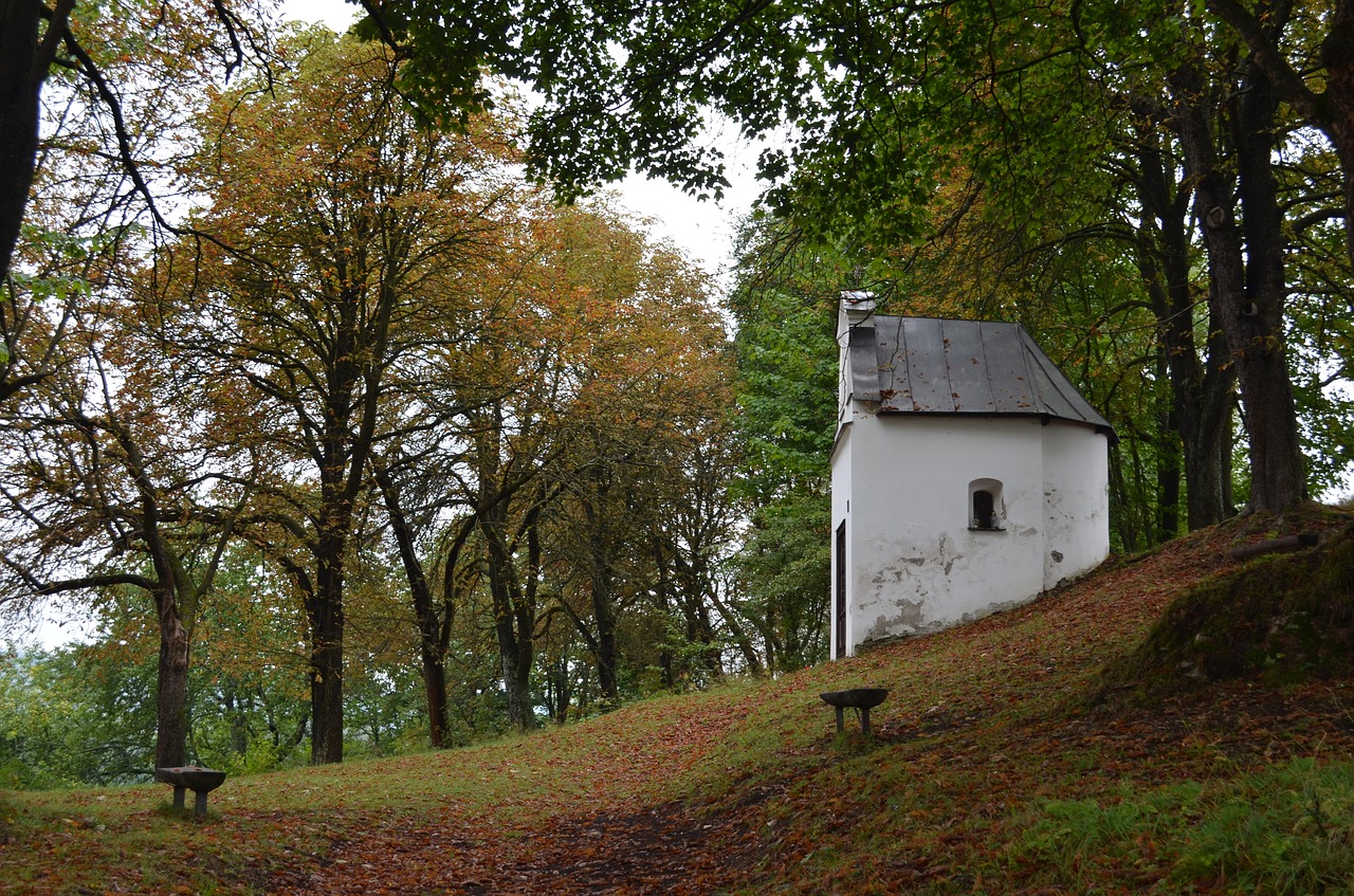 Image - autumn chapel forest brown leaf