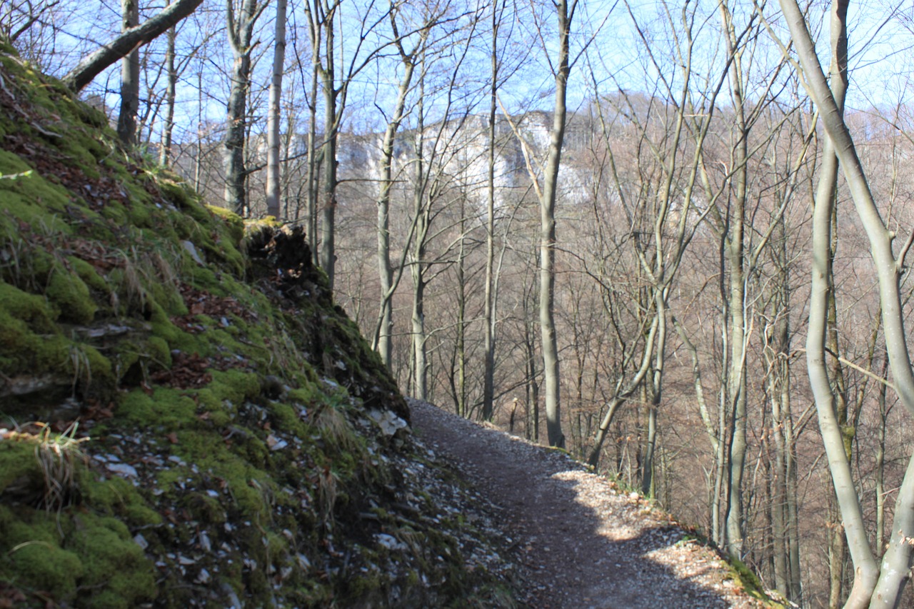 Image - mountain germany path