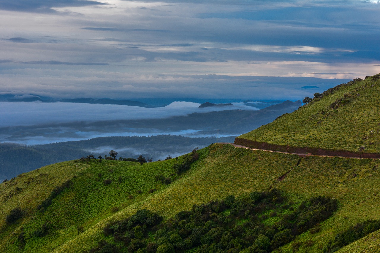 Image - western ghats landscape nature