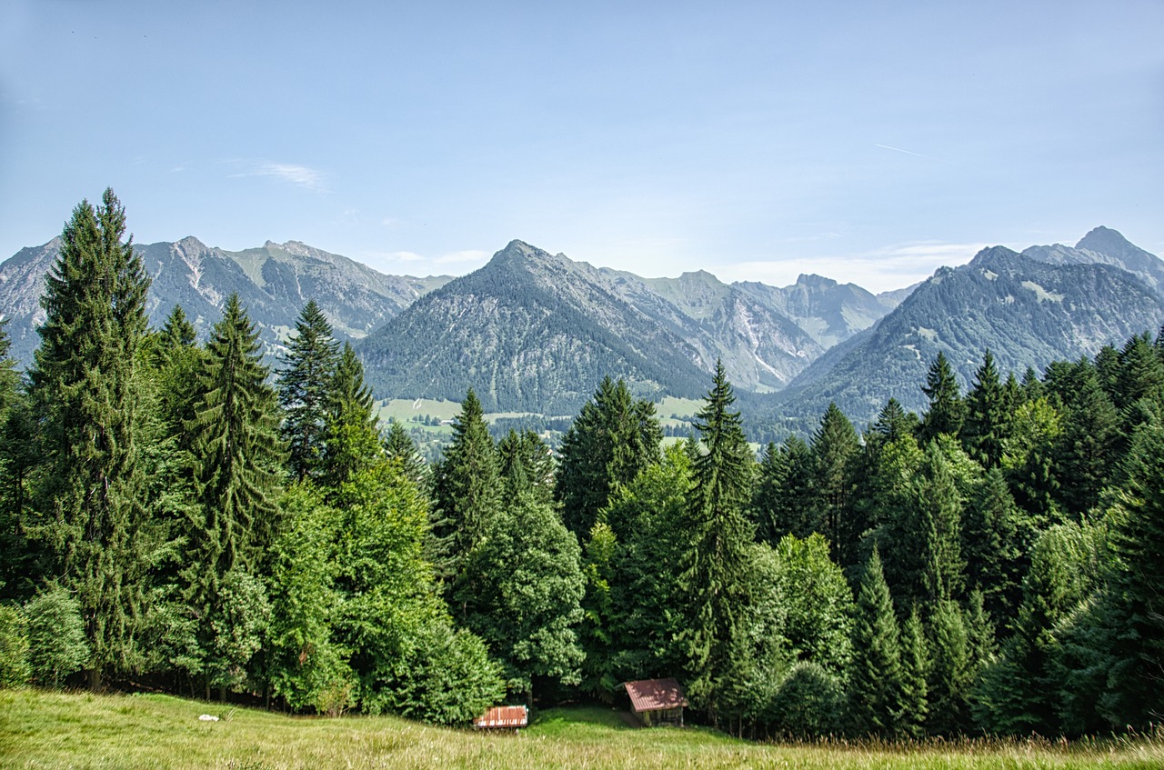 Image - allgäu oberstdorf mountains forest