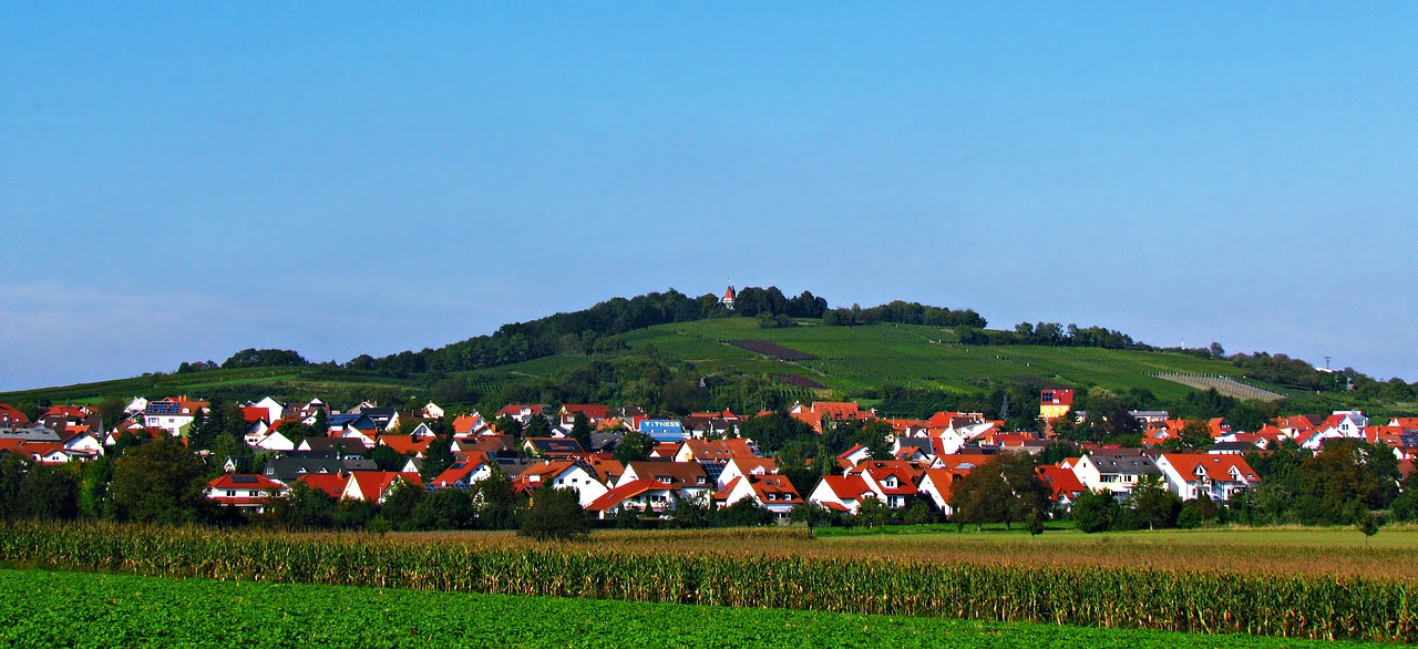 Image - landscape houses view summer city