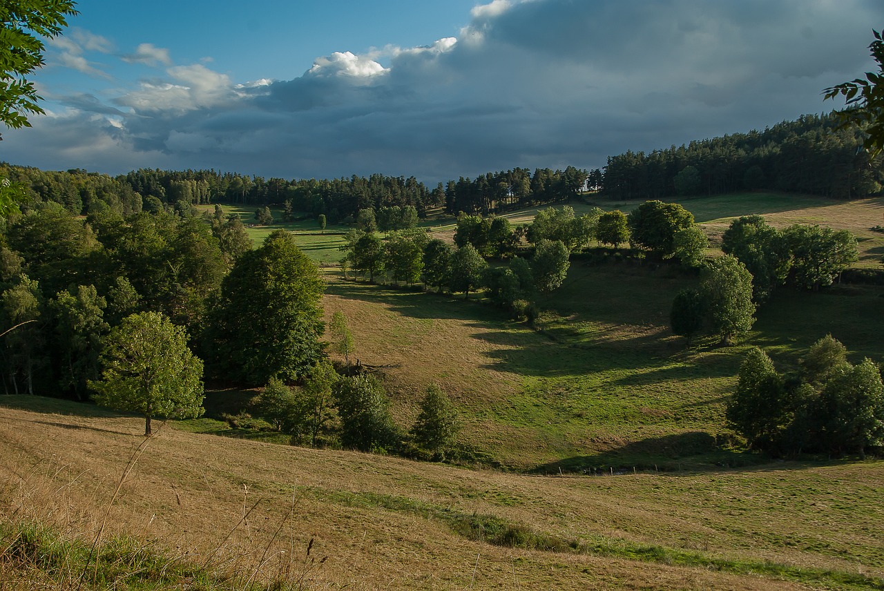 Image - france lozère pasture prairie