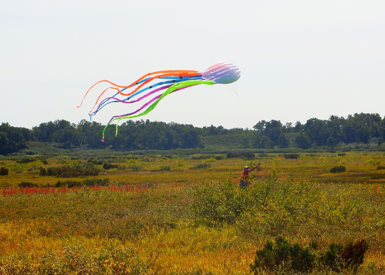 Image - tundra autumn kite octopus flight