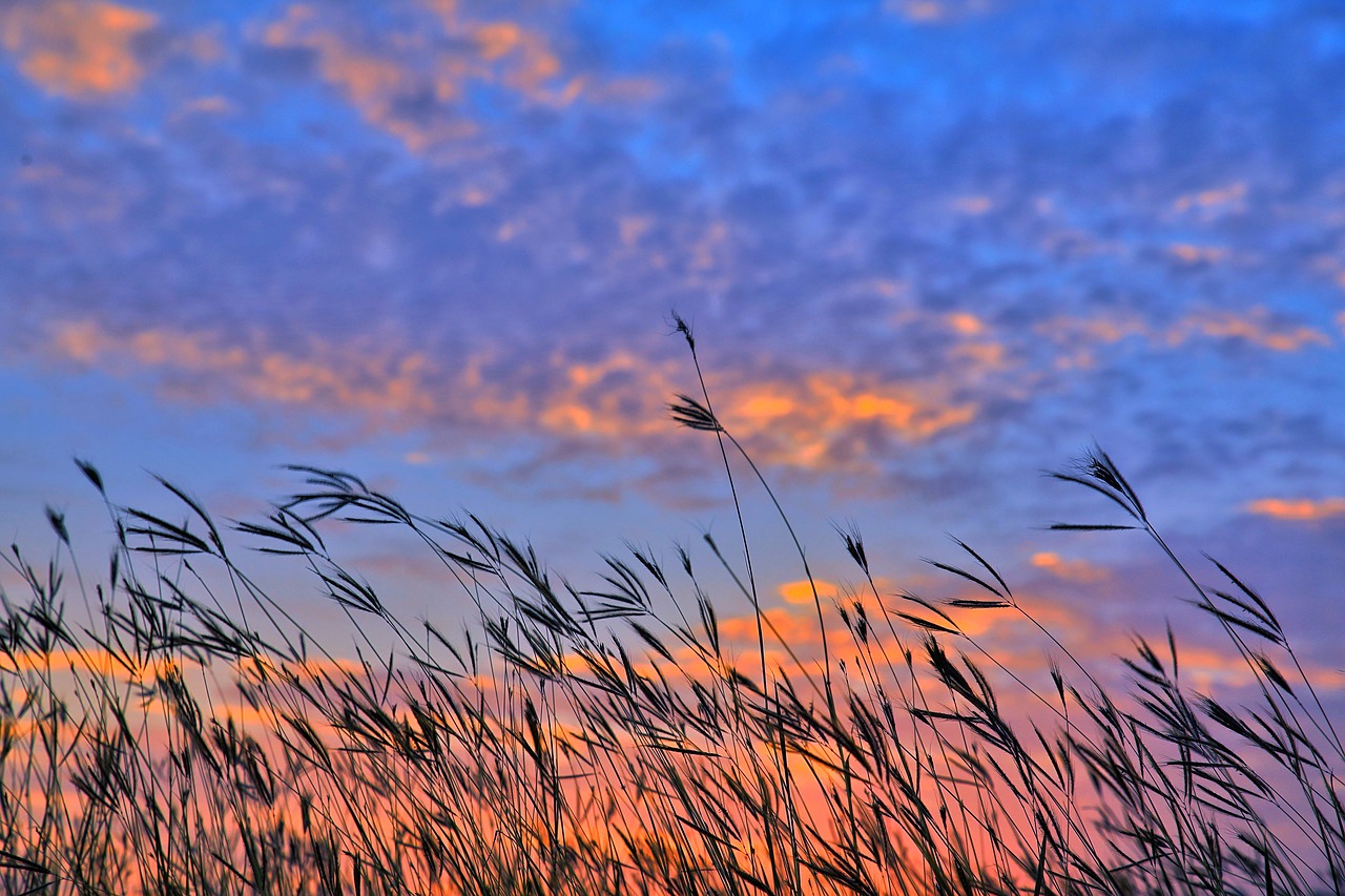 Image - sky a surname grass huoshao