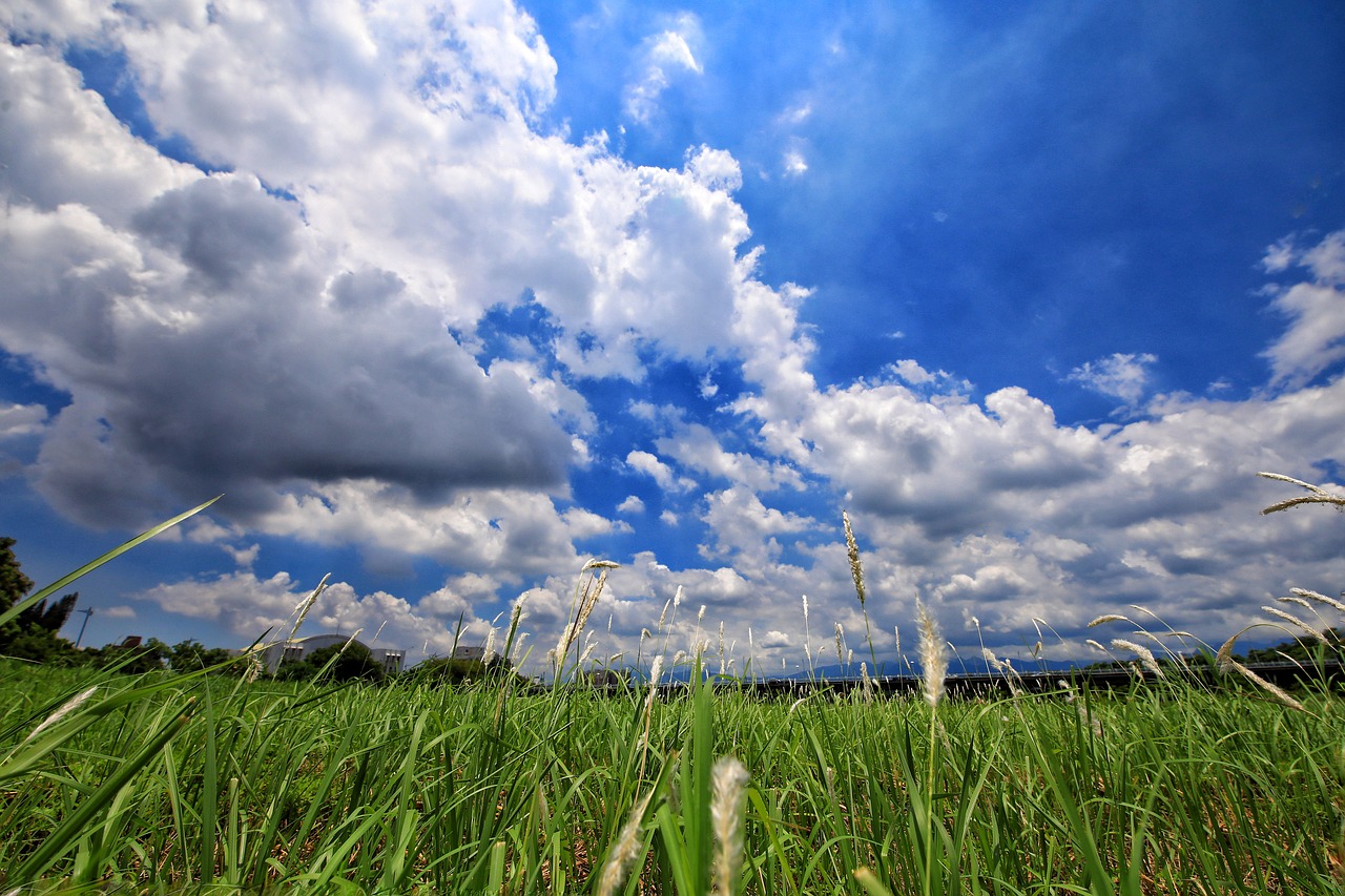 Image - a surname prairie nature sunshine