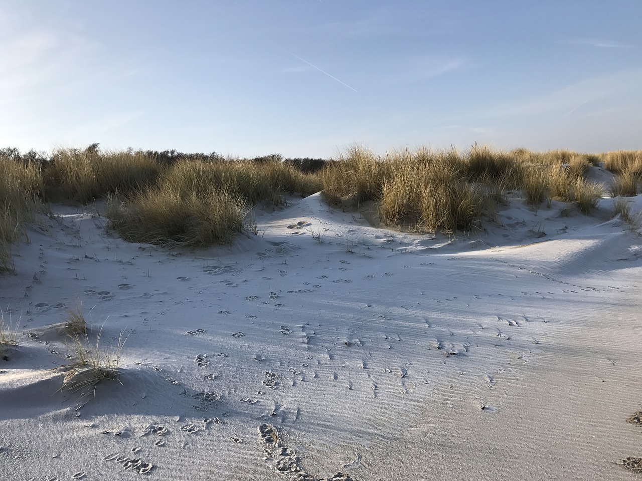 Image - dunes air summer coast