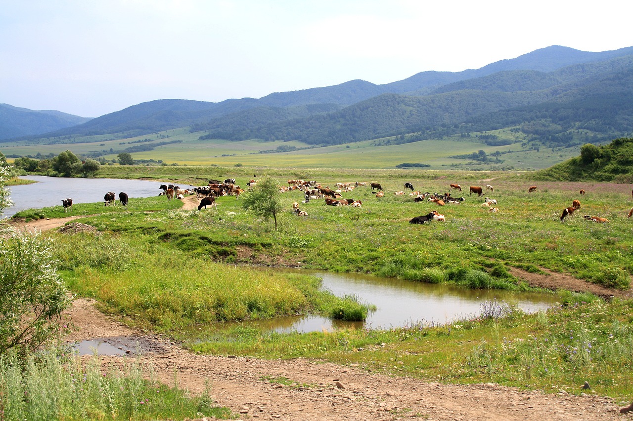 Image - meadow mountains landscape hills