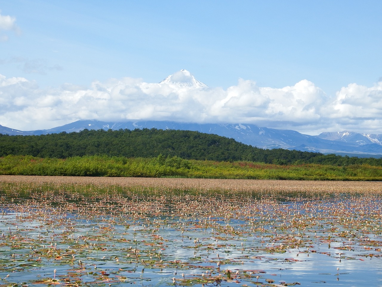 Image - lake autumn weed bloom sky clouds