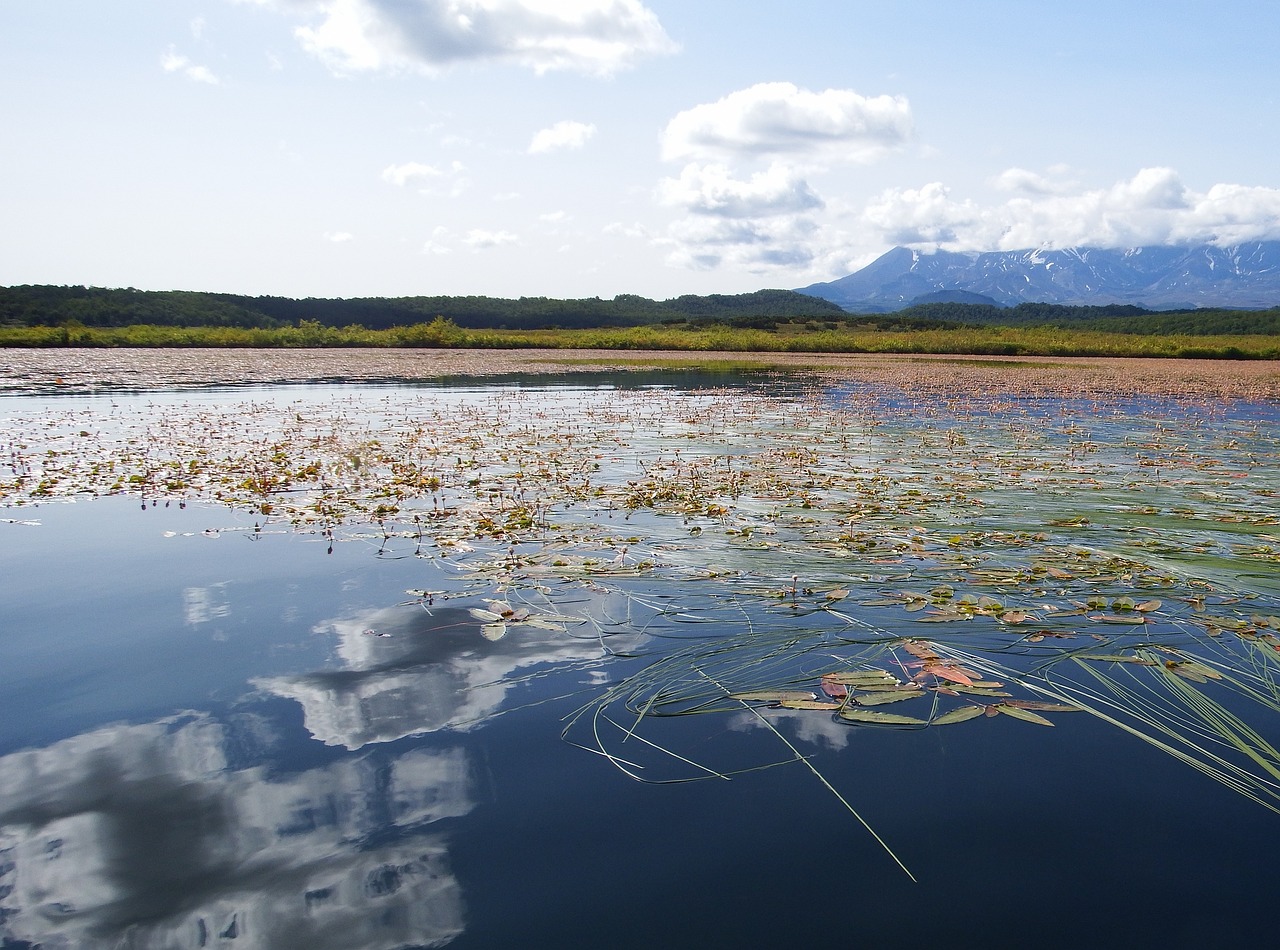 Image - lake autumn weed bloom sky clouds