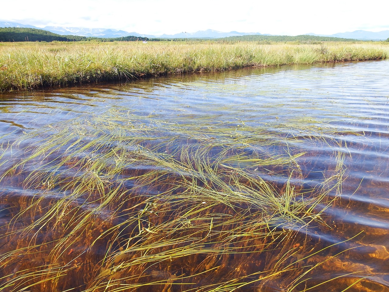 Image - lake duct shallow water sand weed