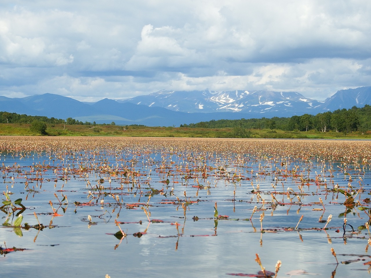 Image - lake autumn weed bloom sky clouds