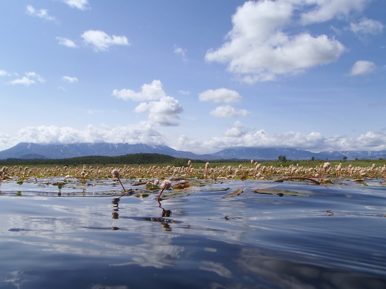 Image - lake autumn weed bloom sky clouds