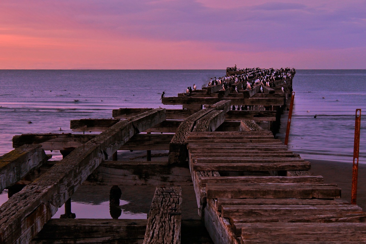 Image - punta arenas spring sea sky chile