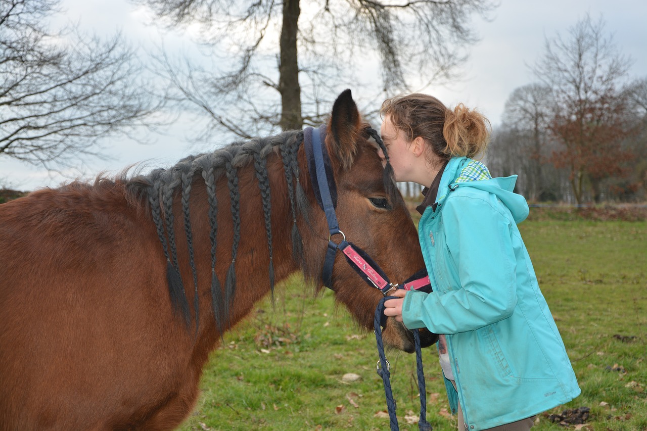 Image - kiss horse girl young woman