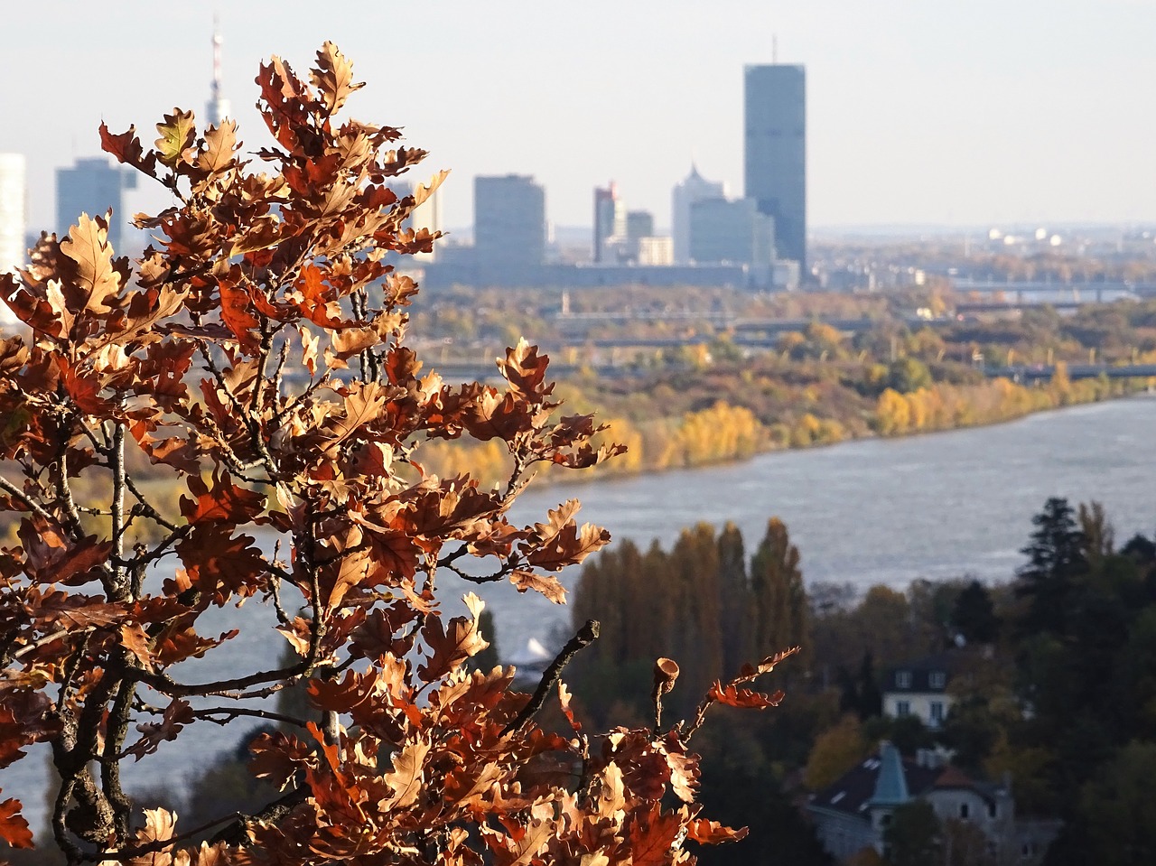 Image - vienna danube millenium tower