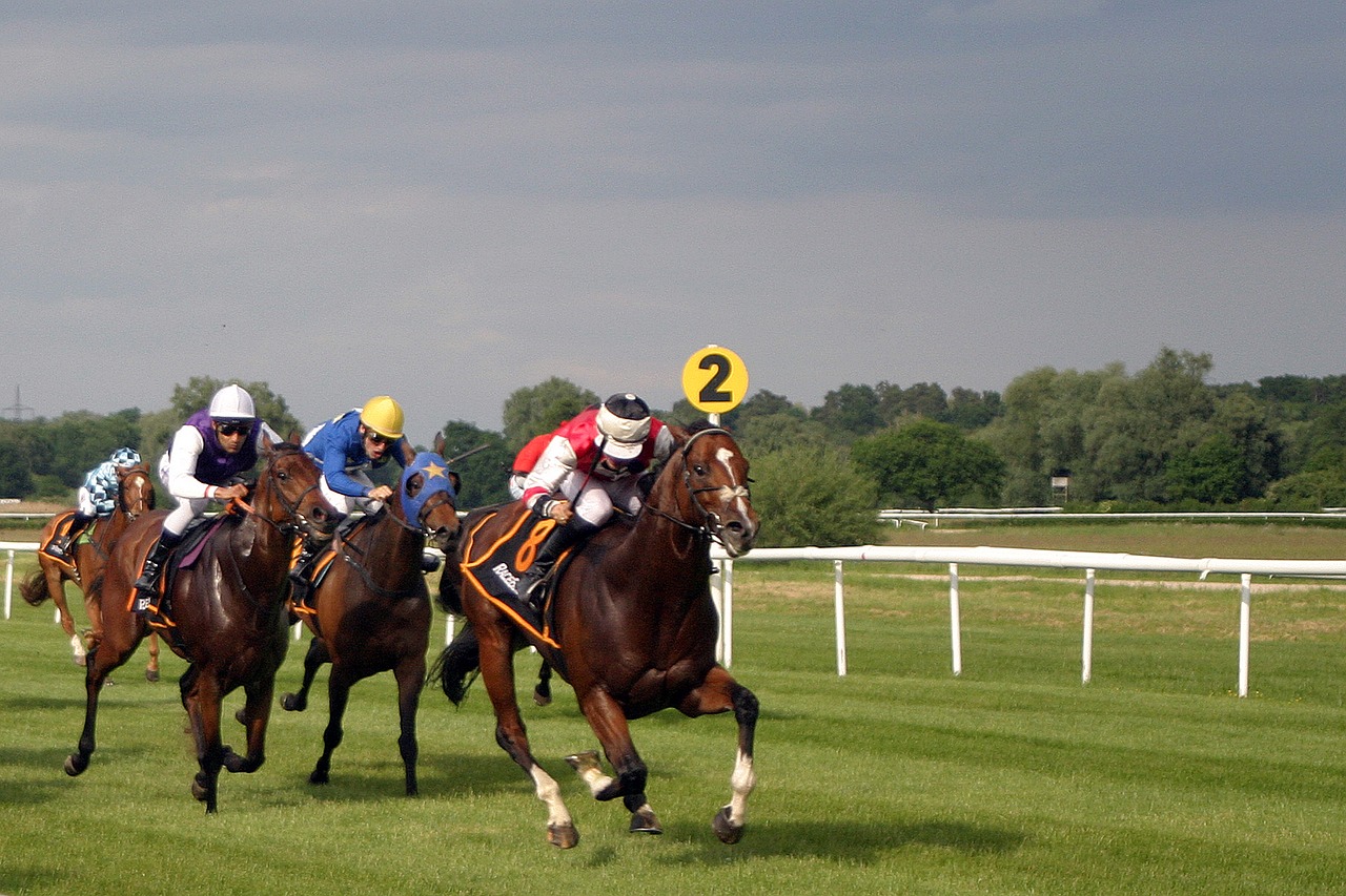 Image - horse racing jockey iffezheim