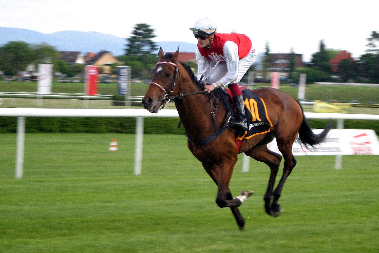 Image - horse racing jockey iffezheim