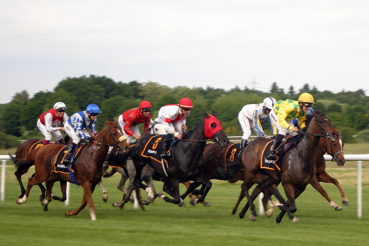 Image - horse racing jockey iffezheim