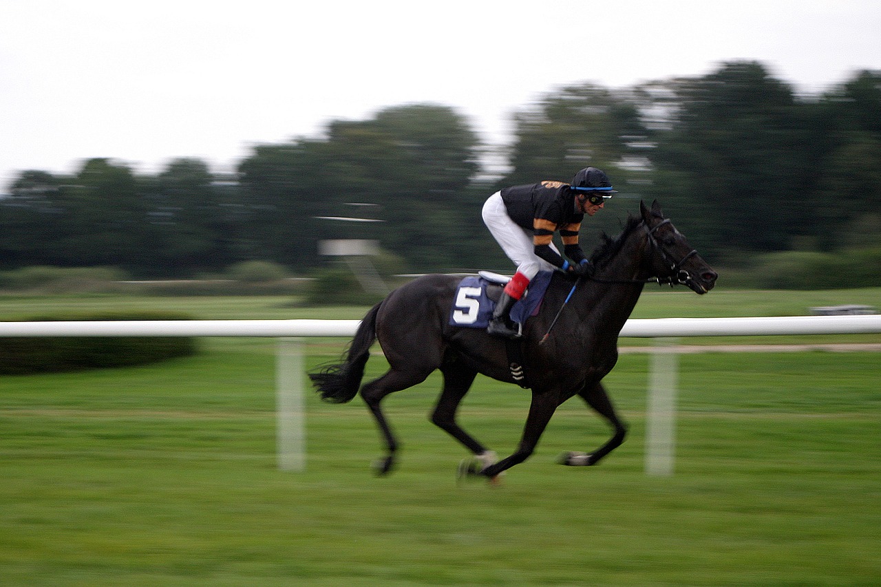 Image - horse racing jockey iffezheim
