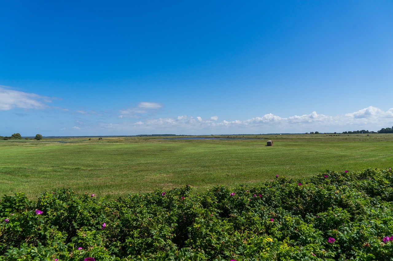 Image - landscape nature agriculture cloudy