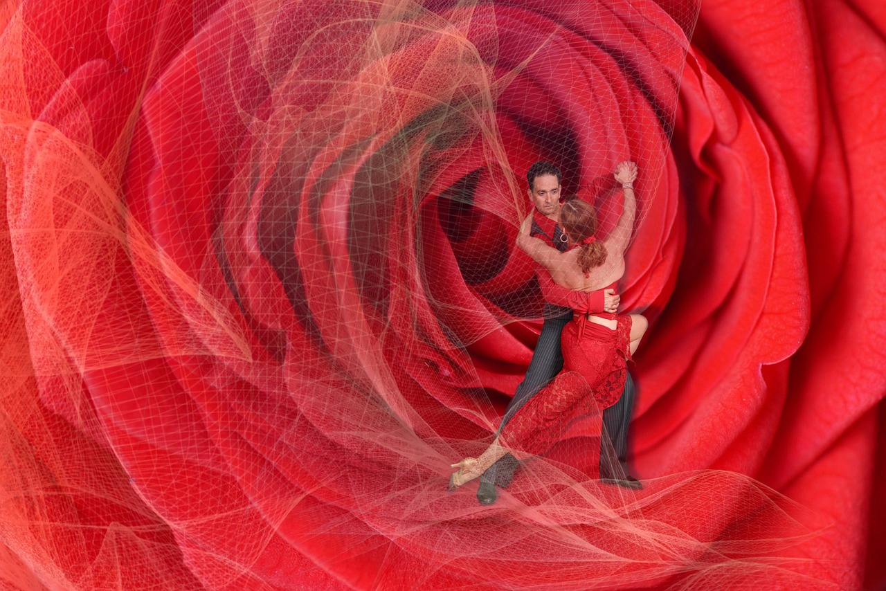 Image - dance passion pair rose red love