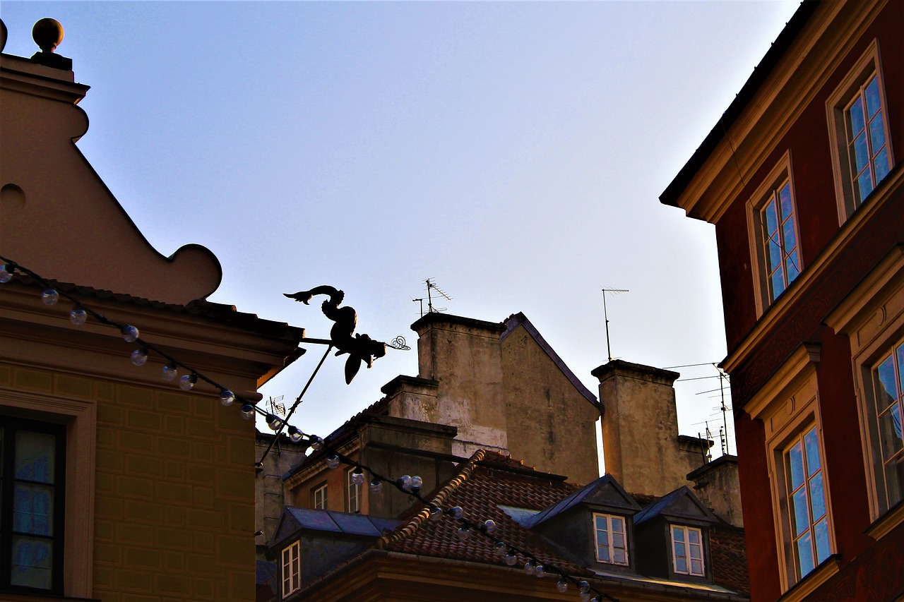 Image - roof dragon over the rooftops