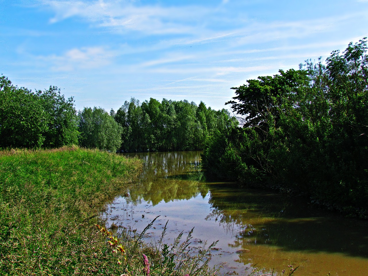 Image - field meadow water after the rain