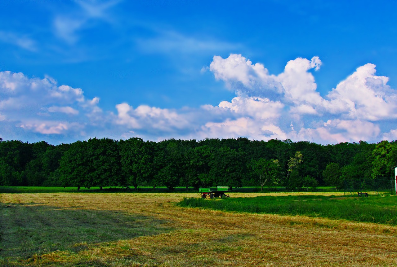 Image - tractor trailer field grass
