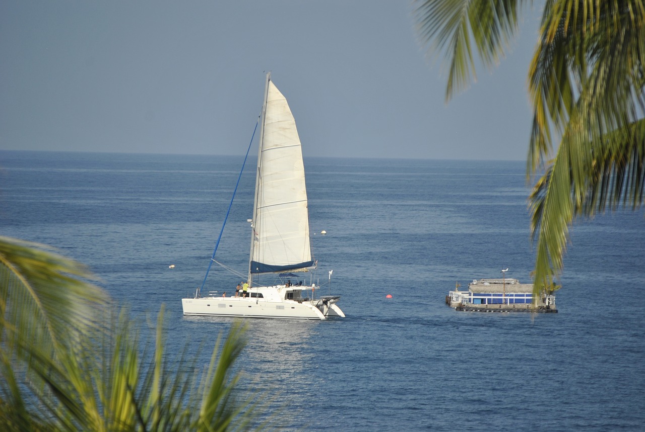 Image - sailboat ocean hawaii palm sail