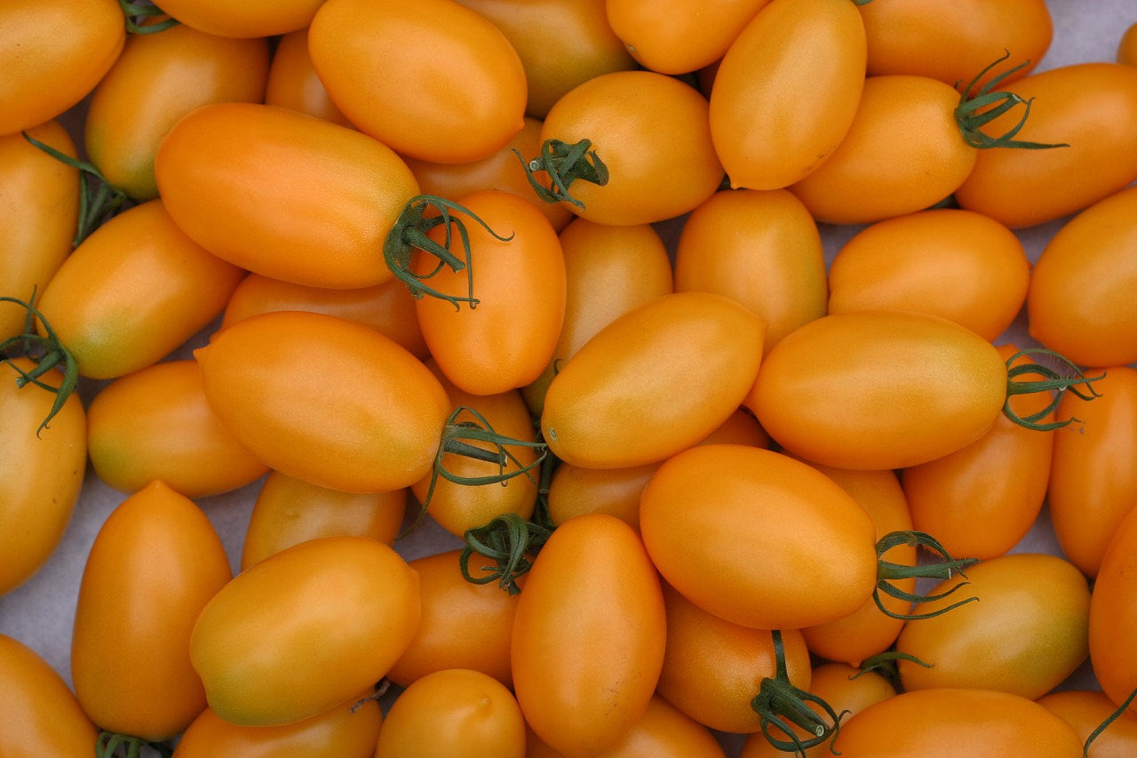 Image - roma tomatoes tomatoes salad