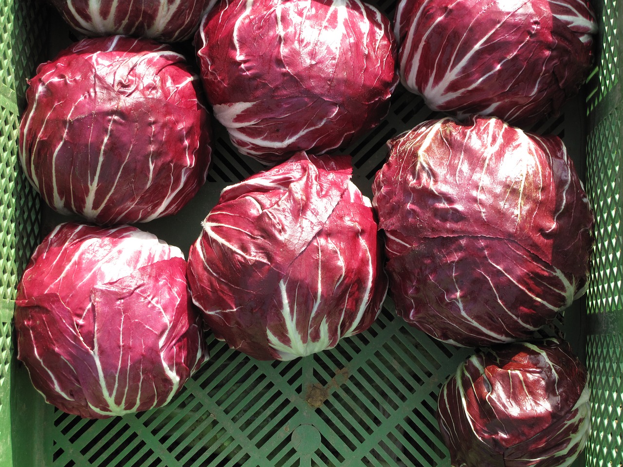 Image - radicchio vegetables salad