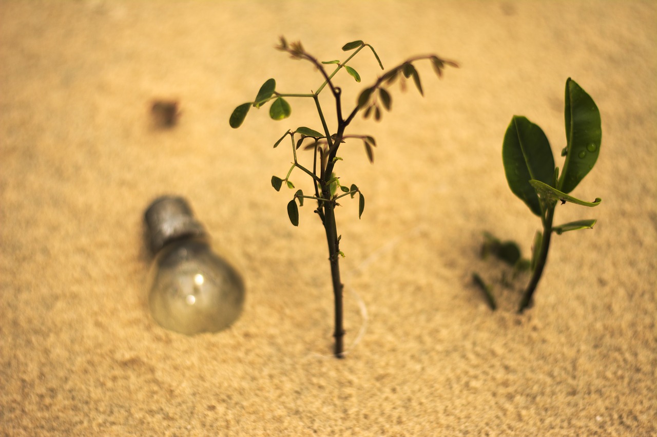 Image - sand beach conceptual beach sand