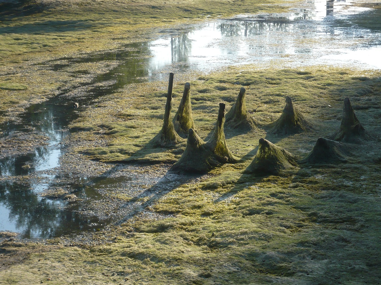Image - puddle water before lake tina il