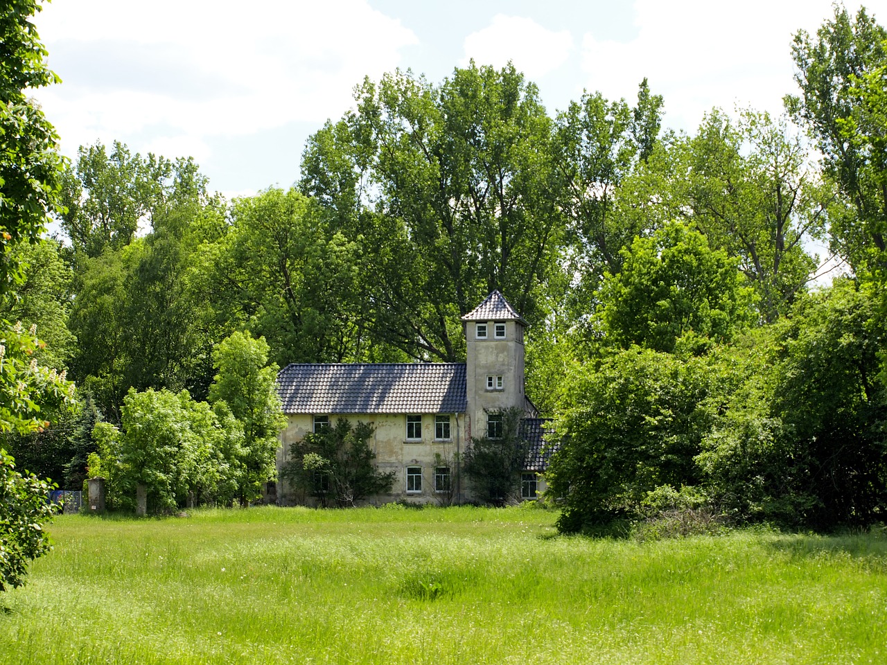 Image - castle small forest villa tower