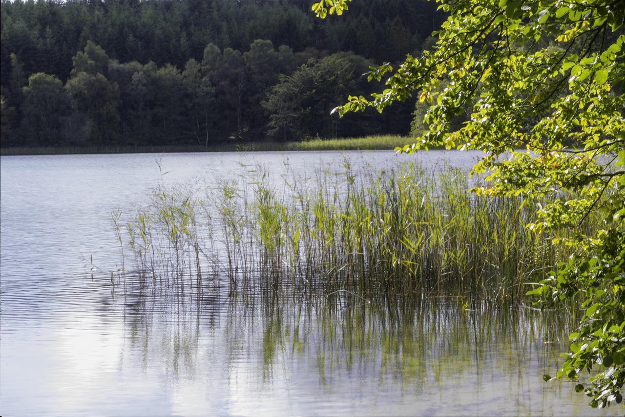 Image - nature lake view denmark