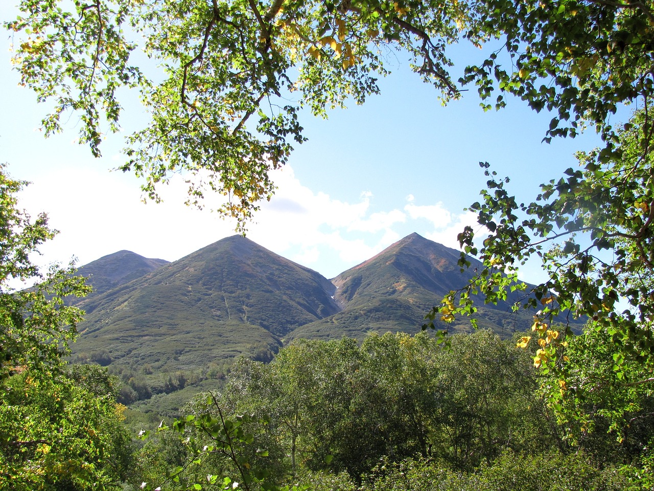 Image - early autumn mountains forest trees