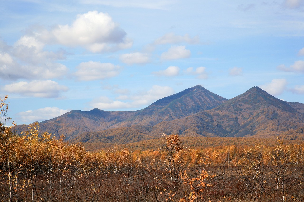 Image - autumn mountains clouds forest