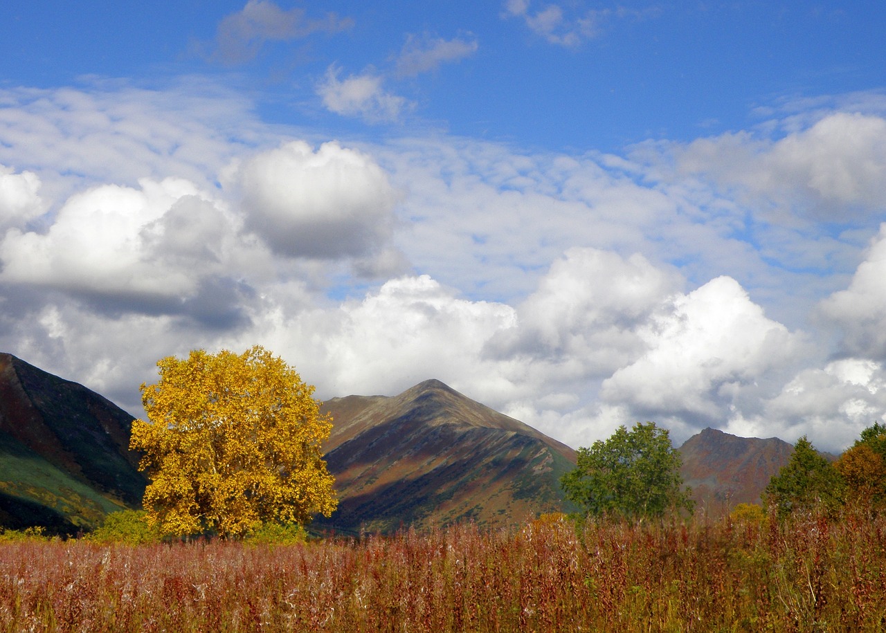 Image - autumn mountains clouds forest