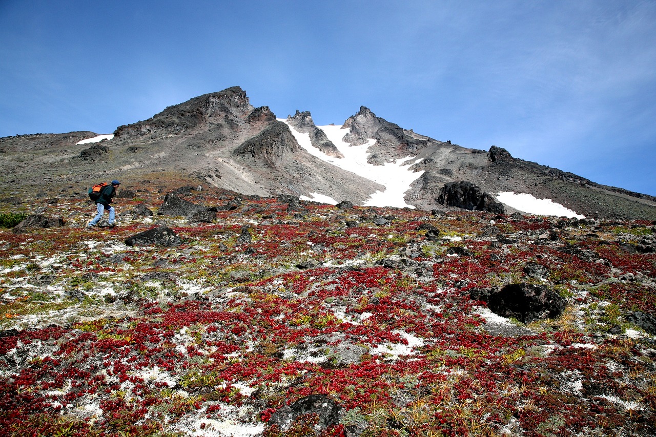 Image - autumn mountains volcano the foot