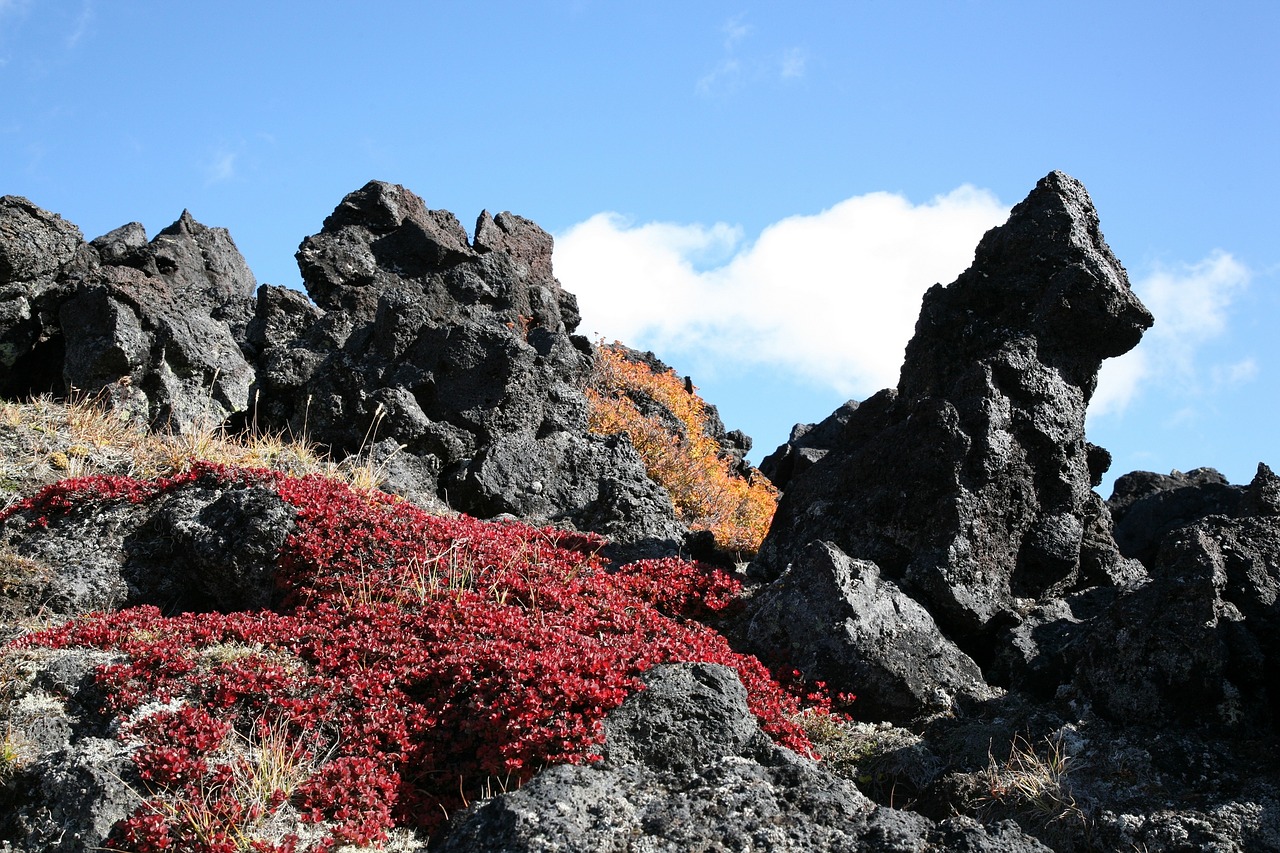 Image - autumn mountains volcano the foot