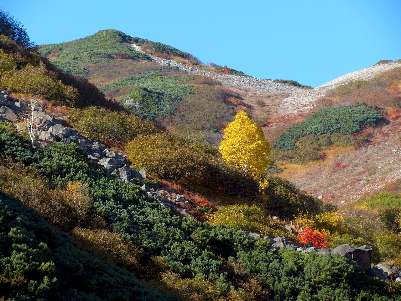 Image - autumn mountains clouds forest