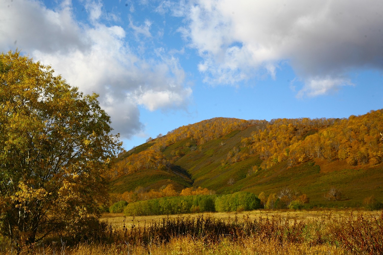 Image - autumn mountains clouds forest