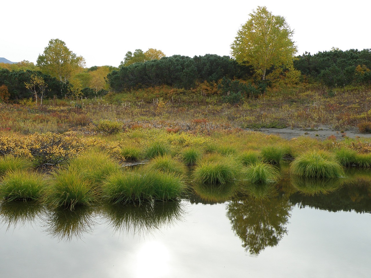 Image - forest lake body of water autumn