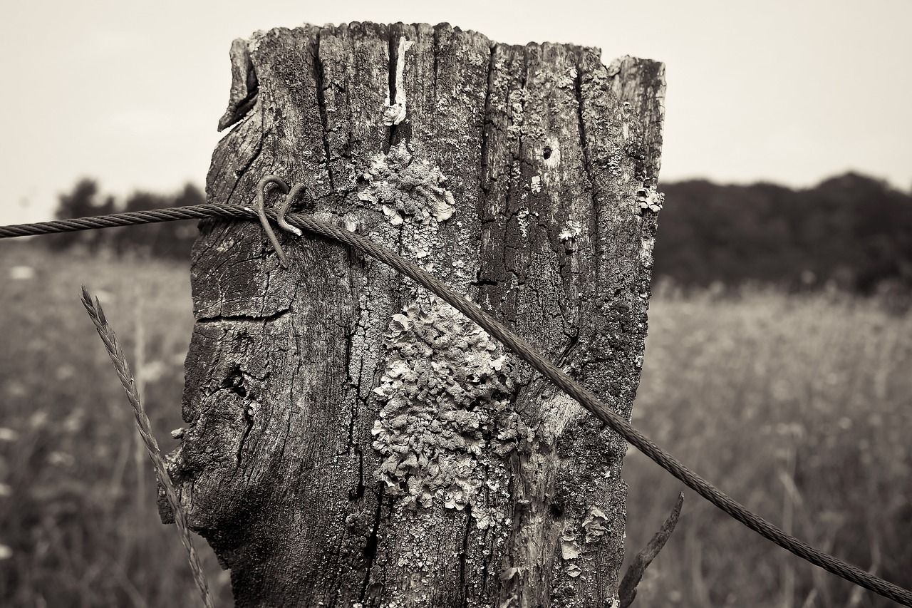 Image - fence pile wood post fence post