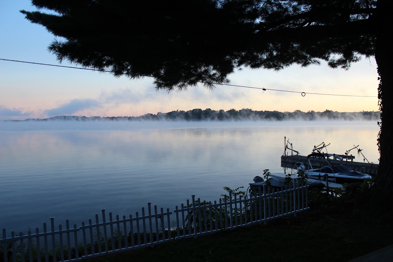 Image - dawn island tree fog landscape