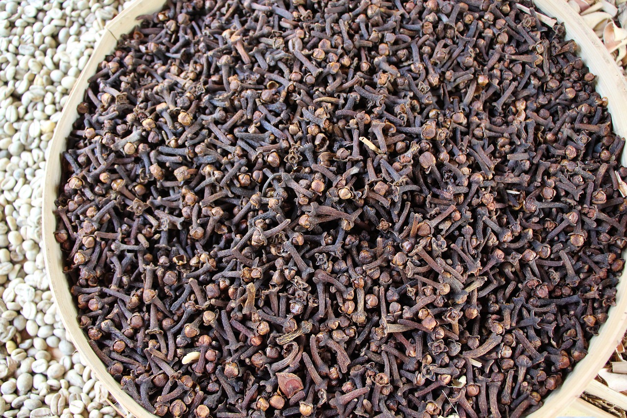 Image - carnation seeds spices cloves