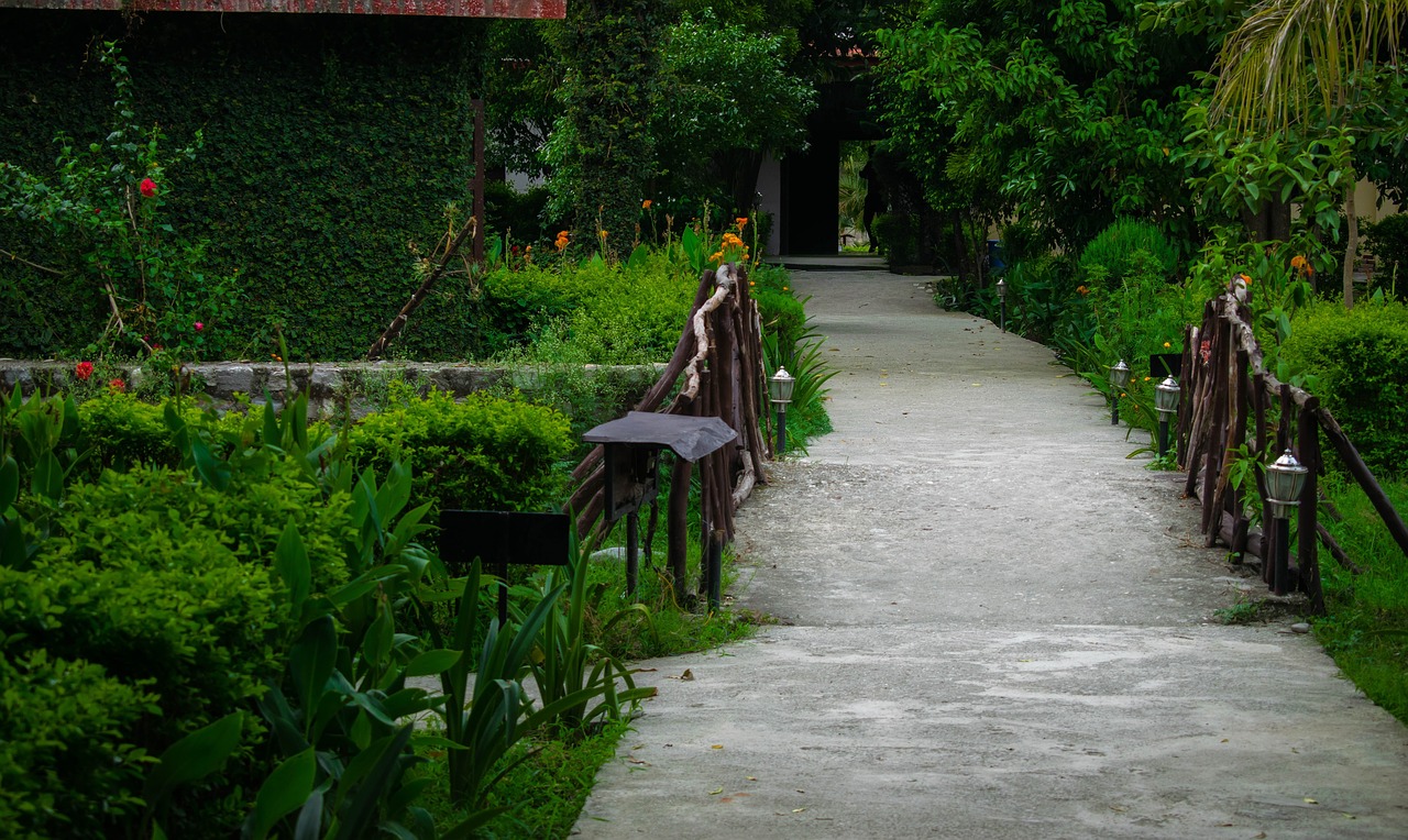 Image - hotel resort nature vacation