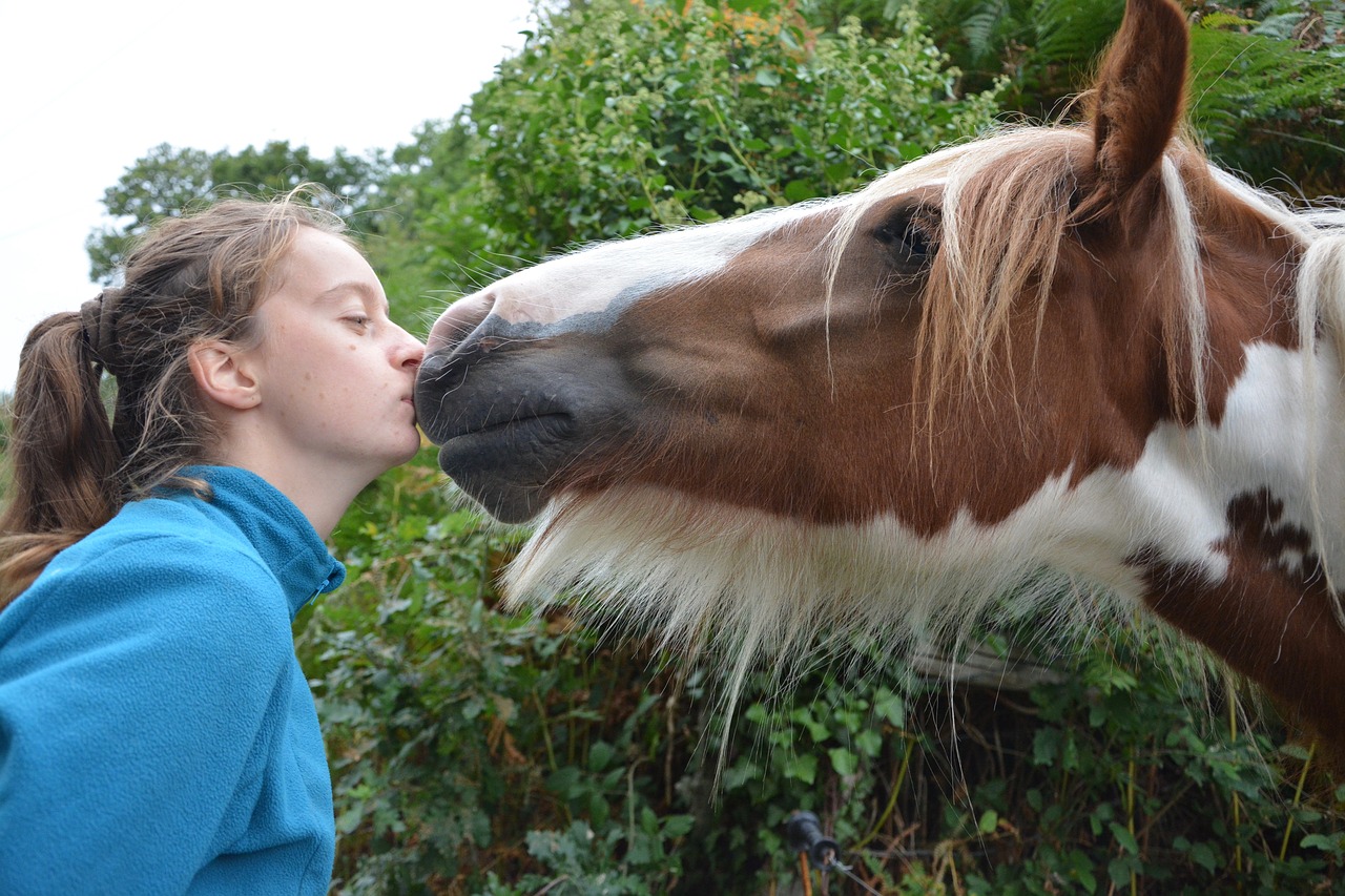 Image - kiss horse girl young woman