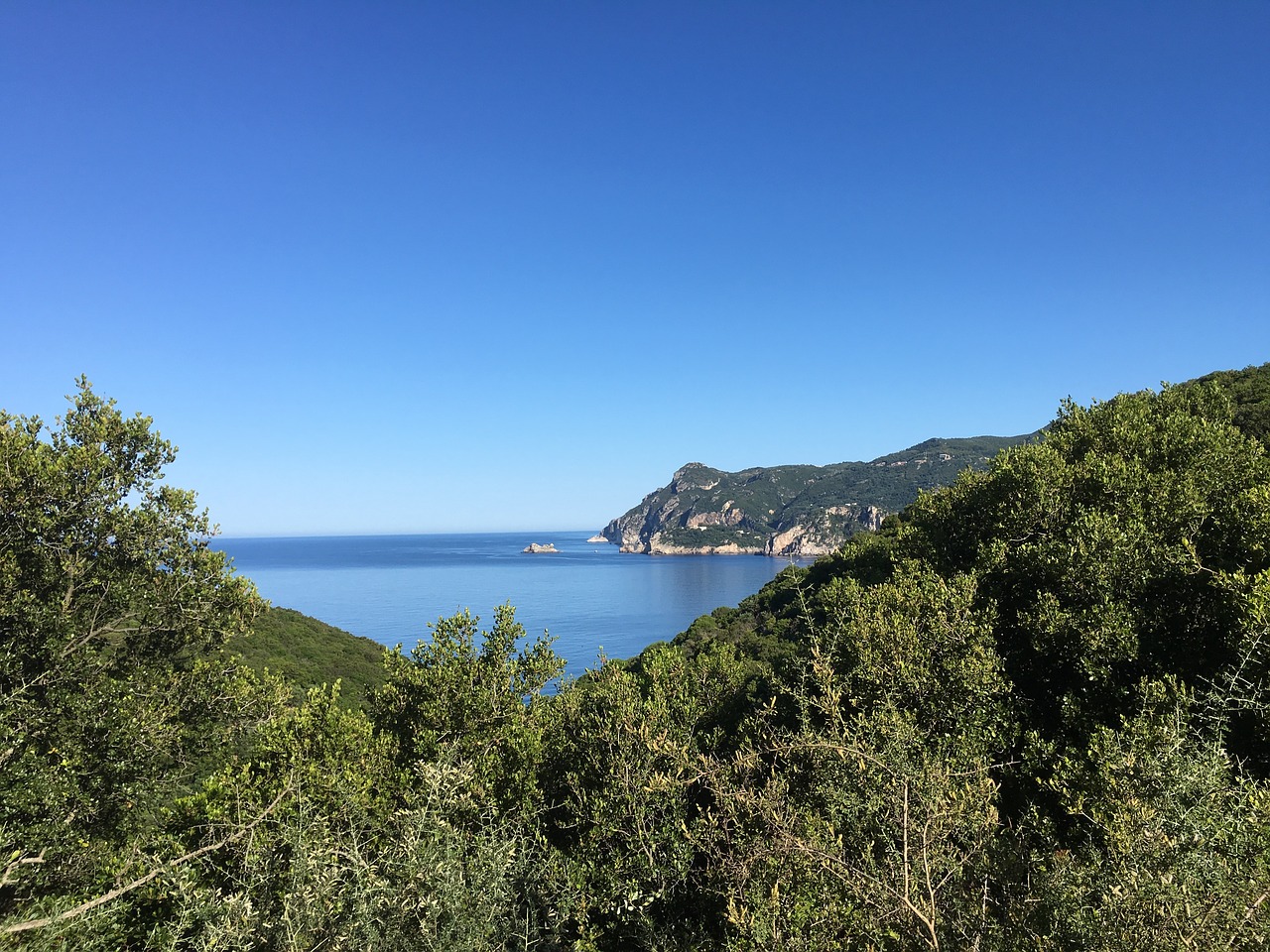 Image - sea olives forest landscape blue