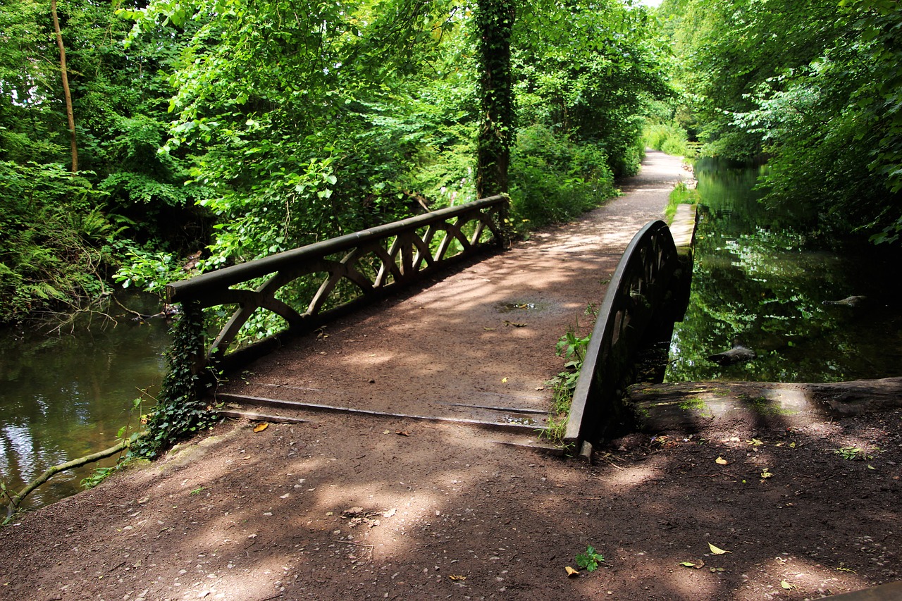 Image - bridge pathway outdoor green path